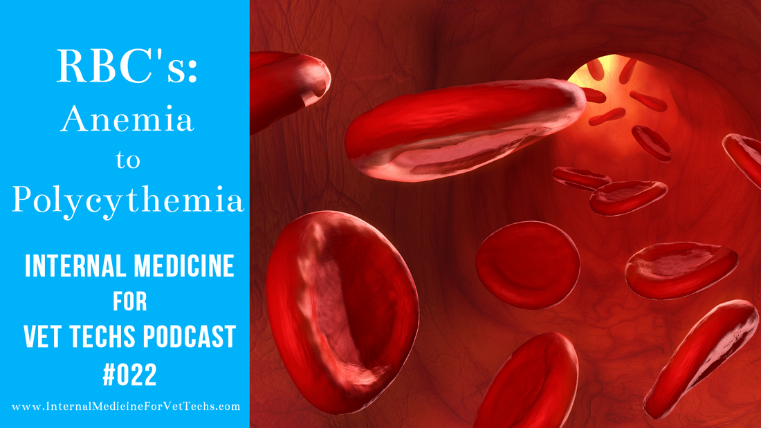 Internal Medicine For Vet Techs Podcast episode 22 RBC's Anemia to Polycythemia