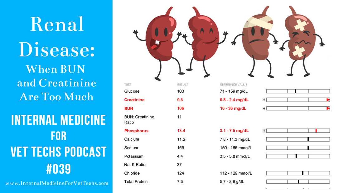 Internal Medicine For Vet Techs podcast renal disease