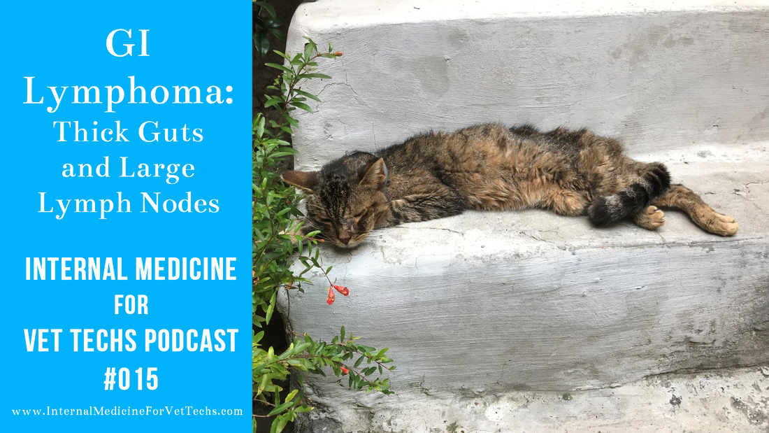 Internal Medicine For Vet Techs Podcast Episode 15