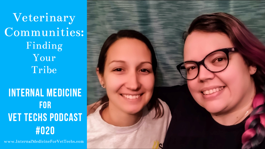Internal Medicine For Vet Techs Podcast episode 20 Veterinary Communities: Finding Your Tribe