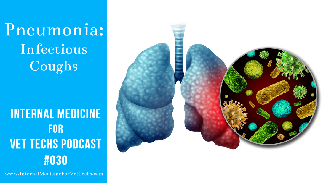 030 Pneumonia Infectious Coughs - INTERNAL MEDICINE FOR VET TECHS