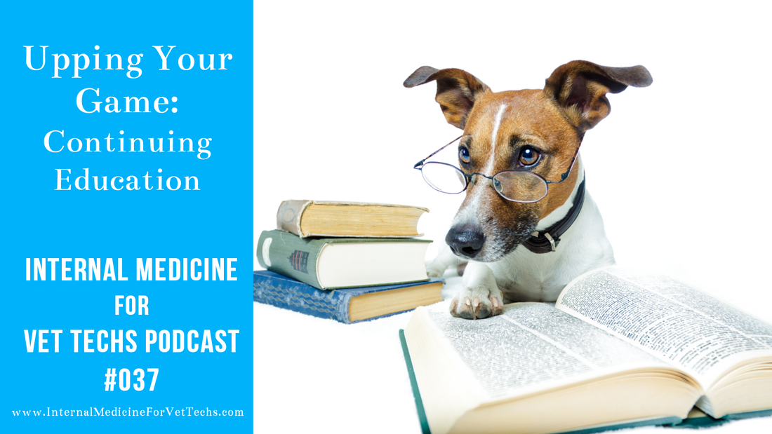 Internal Medicine For Vet Techs podcast Upping Your Tech Game Continuing Education for veterinary technicians