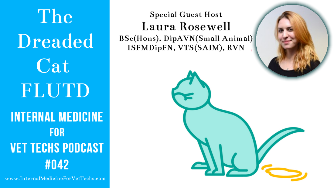 Internal Medicine For Vet Techs podcast FLUTD veterinary technician 