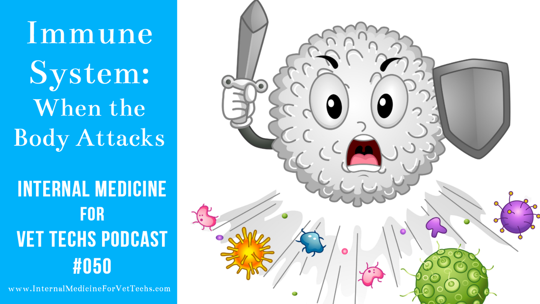 Internal Medicine For Vet Techs Podcast Immune System When the Body Attacks