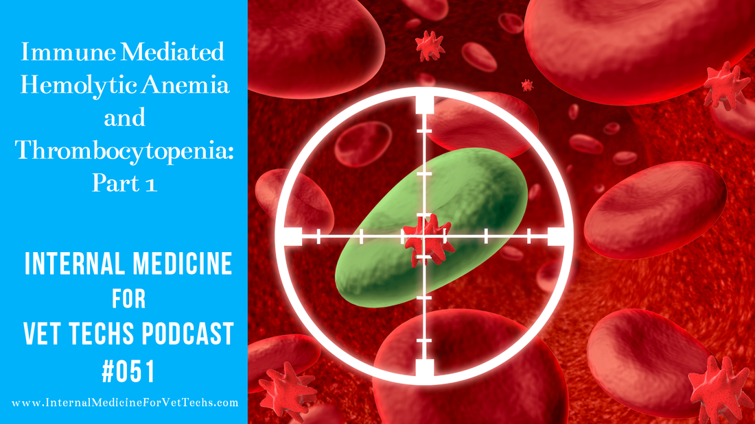 Internal Medicine For Vet Techs Podcast Immune Mediated Hemolytic Anemia and Thrombocytopenia: Part 1