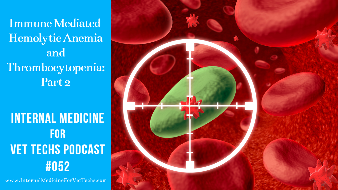 Internal Medicine For Vet Techs Podcast Immune Mediated Hemolytic Anemia and Thrombocytopenia: Part 2