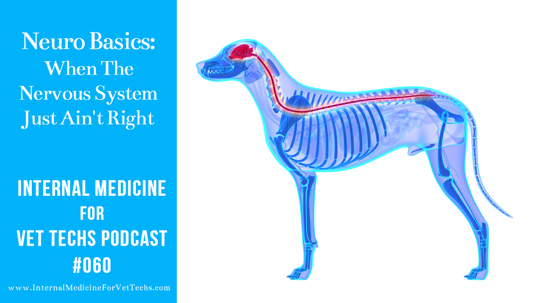 Internal Medicine For Vet Techs Podcast Neuro Basics: When The Nervous System Just Ain't Right