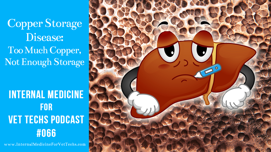 66 Copper Storage Disease Internal Medicine For Vet Techs Podcast