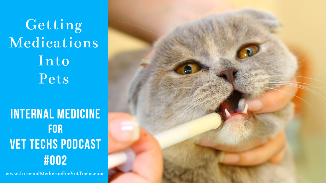 Getting Medications into Pets Episode #002 Internal Medicine For Vet Techs Podcast
