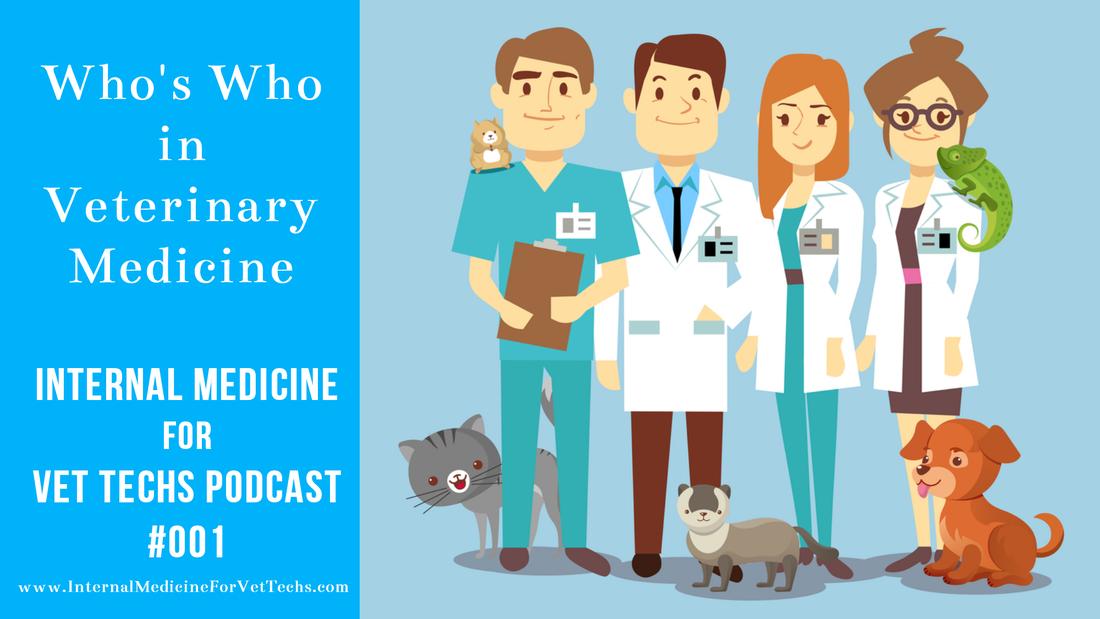 Who's Who in Veterinary Medicine Episode #001 Internal Medicine For Vet Techs Podcast